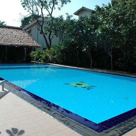 Hotel Sunflower Катарагама Экстерьер фото