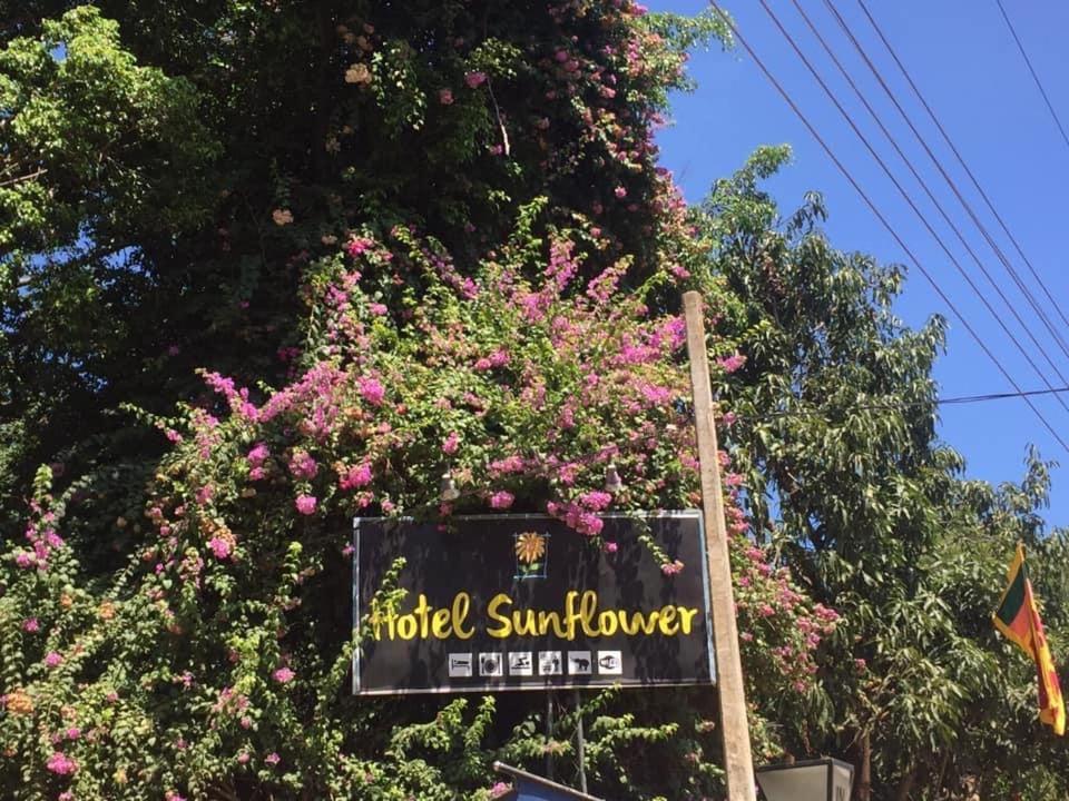 Hotel Sunflower Катарагама Экстерьер фото